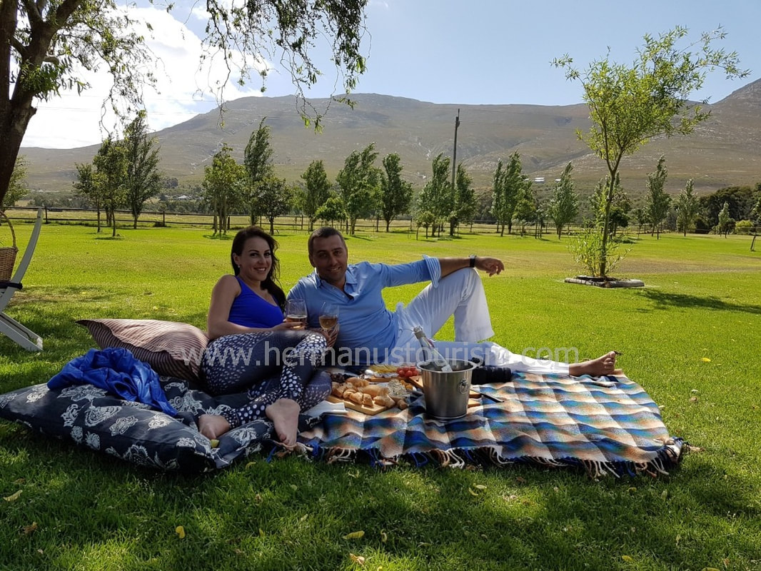 Picnic at cheese and wine farm Hermanus, Stanford, South Africa
