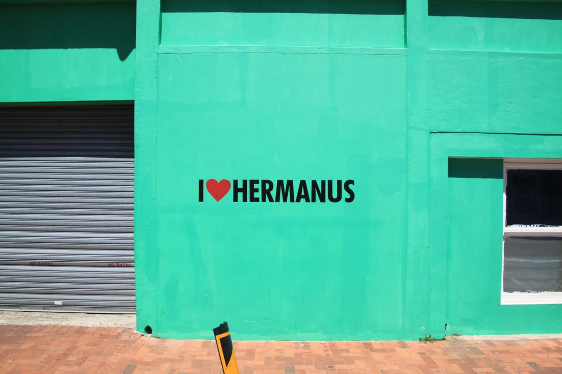 Hermanus is open - with loads of things to see and do - come and enjoy the ocean and wide open countryside spaces #HermanusIsOpen, near Cape Town, South Africa