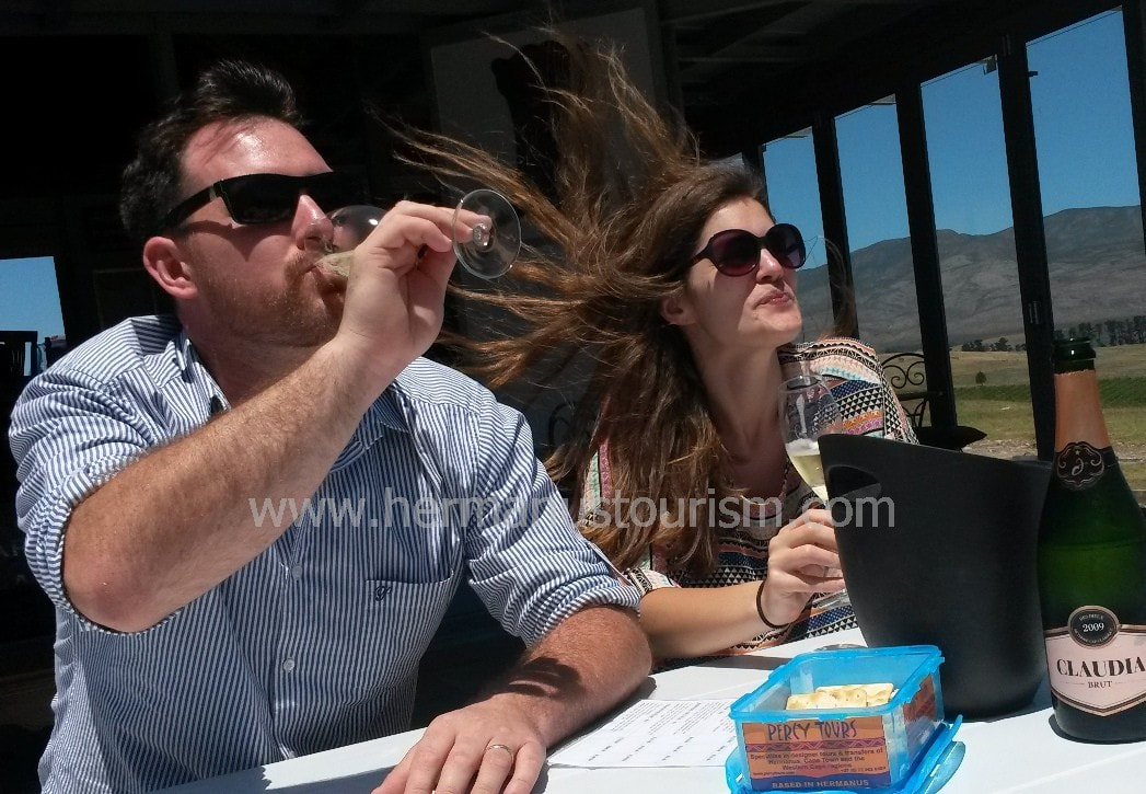 Wineries and Wine Tours of Hermanus South Africa